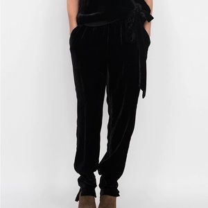 NWT gold hawk velvet jogger slim pant